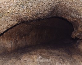 _DSF6277