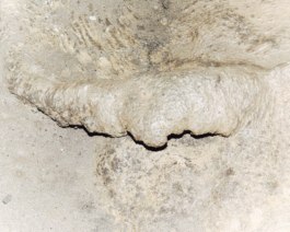 _DSF6351