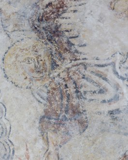 _DSF6596